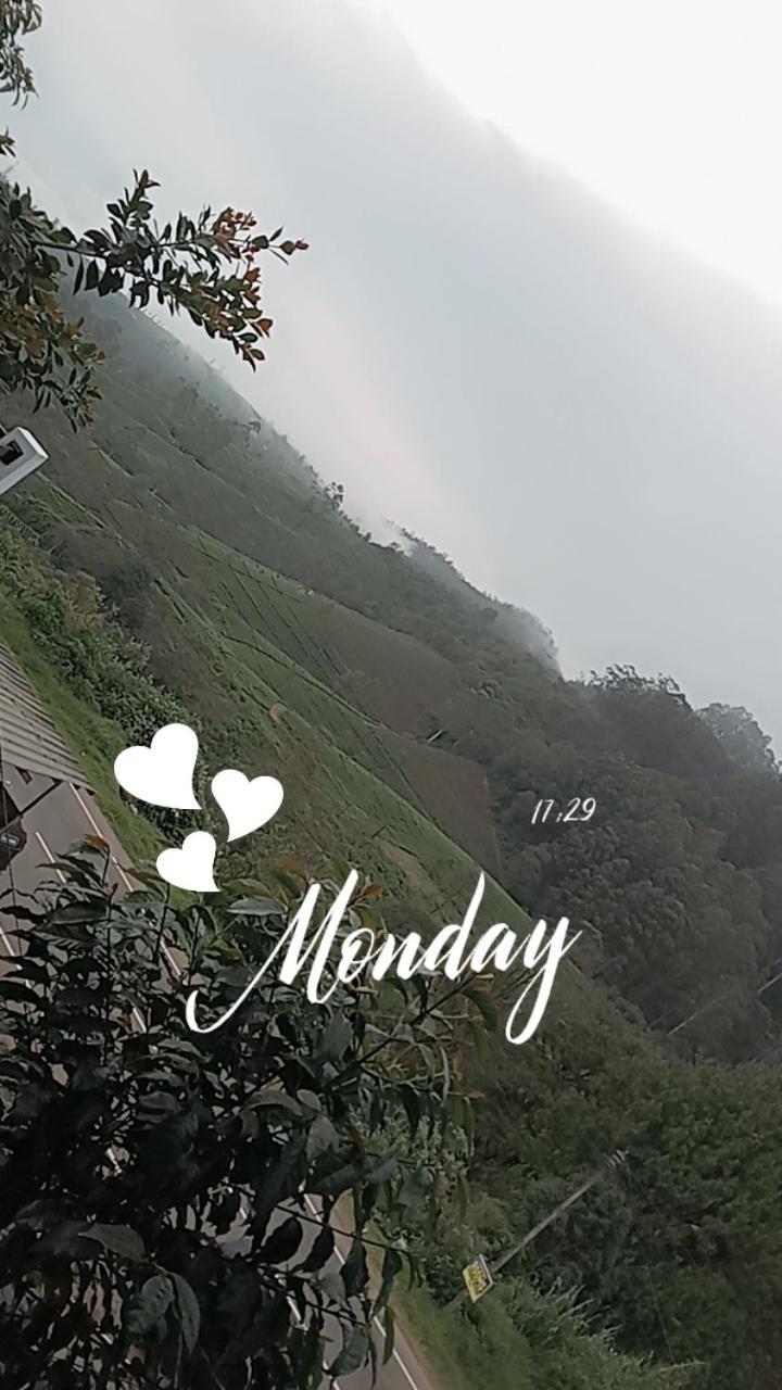 努沃勒埃利耶Cool Mount Guest公寓 外观 照片